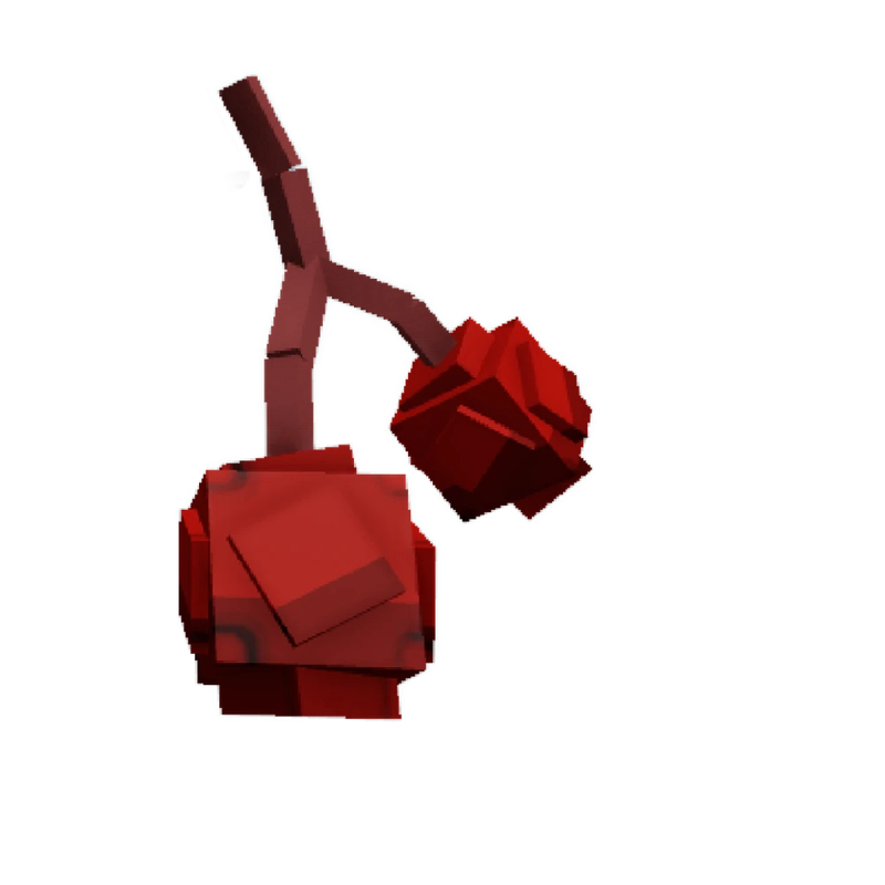 Cranberry