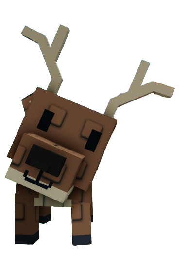 Deer