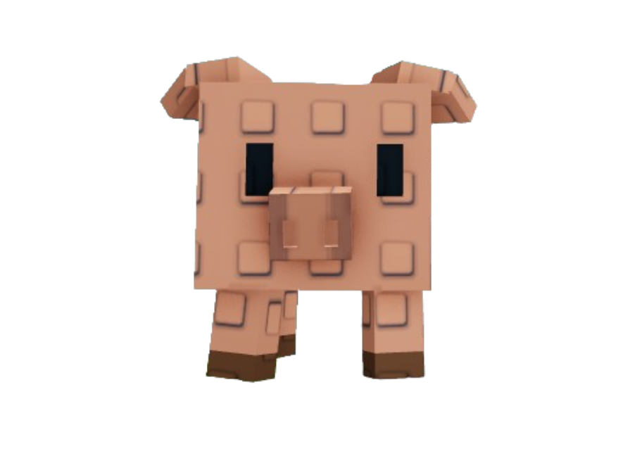 Pig